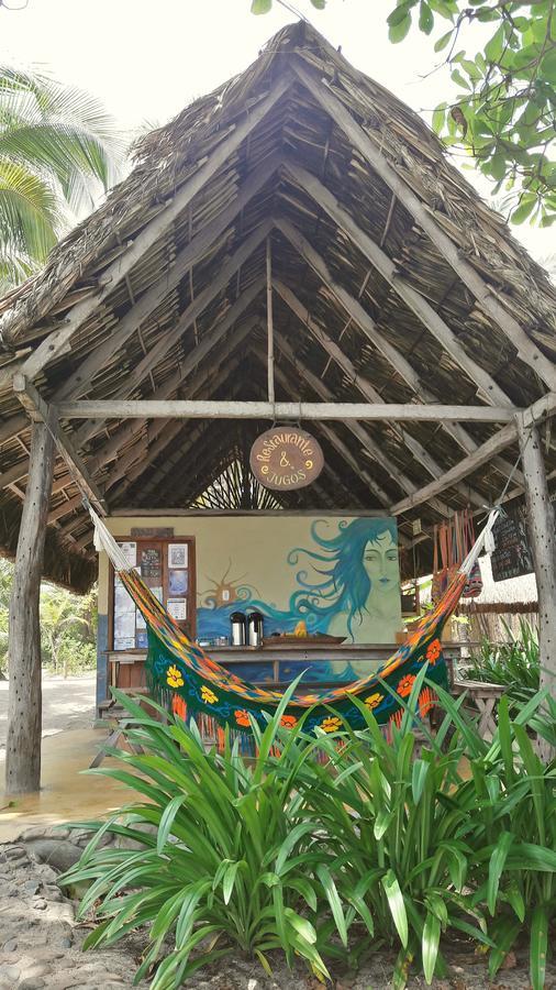 La Sirena Eco Hotel & Retreat Palomino Extérieur photo