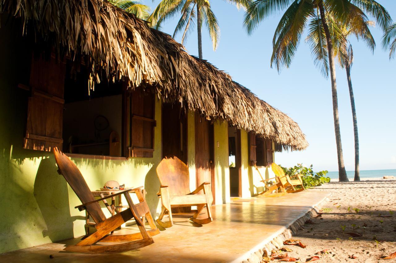La Sirena Eco Hotel & Retreat Palomino Extérieur photo