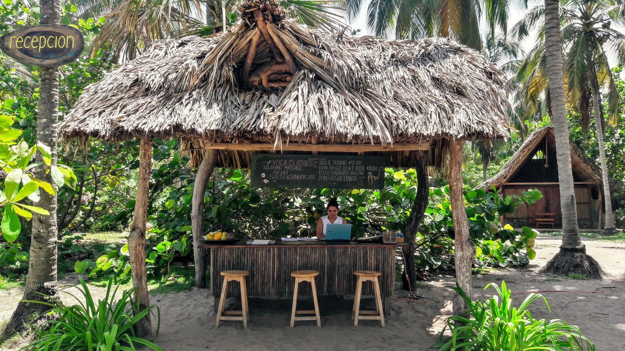 La Sirena Eco Hotel & Retreat Palomino Extérieur photo