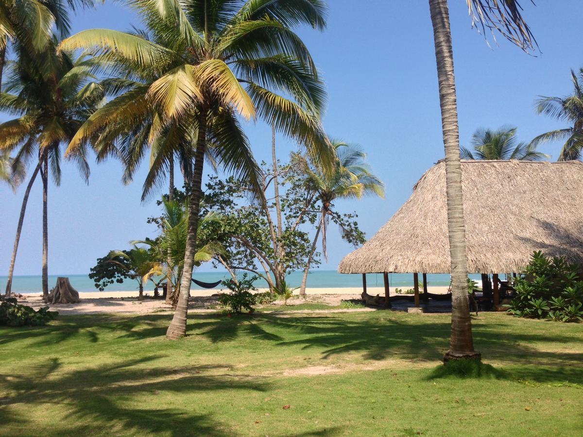La Sirena Eco Hotel & Retreat Palomino Extérieur photo
