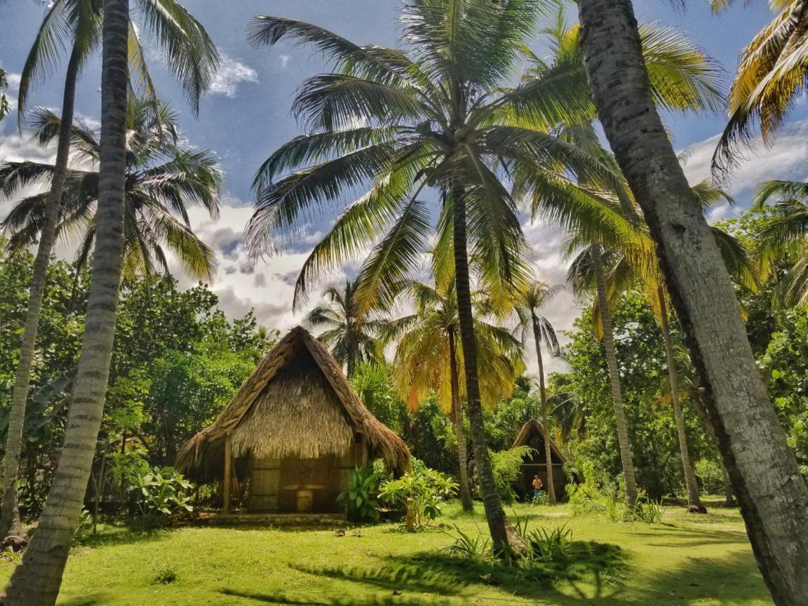 La Sirena Eco Hotel & Retreat Palomino Extérieur photo